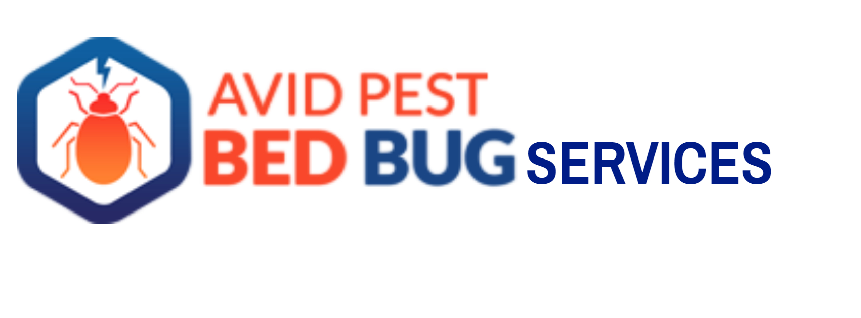 Bed Bug Heat Treatment Best Bed Bugs Extermination in Burlington
